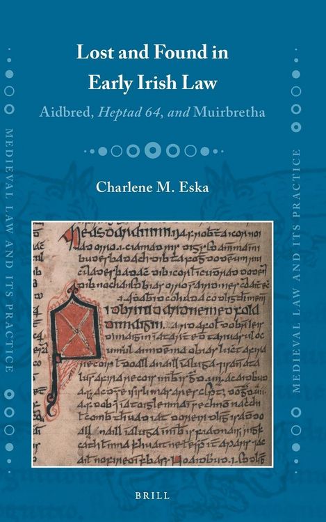 Produktbild: Lost and Found in Early Irish Law