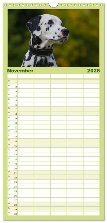 Produktbild: Familienplaner 2026 - Auf den Punkt - Dalmatiner mit 5 Spalten (Wandkalender, 21 x 45 cm) CALVENDO