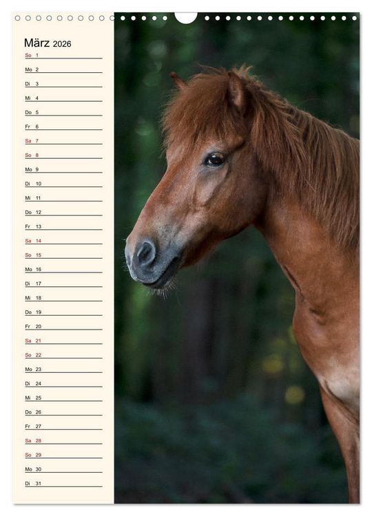 Produktbild: Isl&auml;nder Geburtstagskalender (Wandkalender 2026 DIN A3 hoch), CALVENDO Monatskalender
