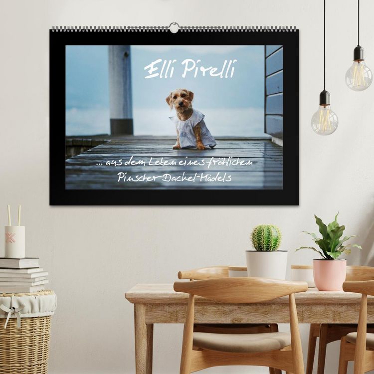 Produktbild: Elli Pirelli... aus dem Leben eines fr&ouml;hlichen Pinscher-Dackel-M&auml;dels (Wandkalender 2026 DIN A2 quer), CALVENDO Monatskalender