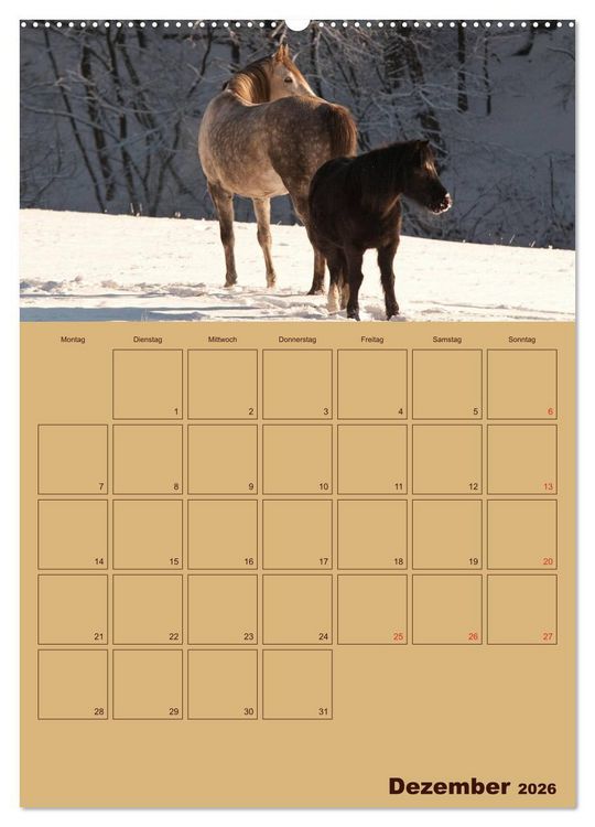 Produktbild: Pferde Gute Freunde (Wandkalender 2026 DIN A2 hoch), CALVENDO Monatskalender