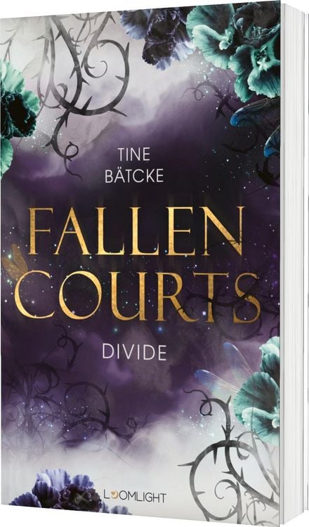 Produktbild: Fallen Courts 2: Divide