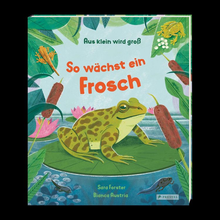 Produktbild: Aus klein wird gro&szlig;. So w&auml;chst ein Frosch
