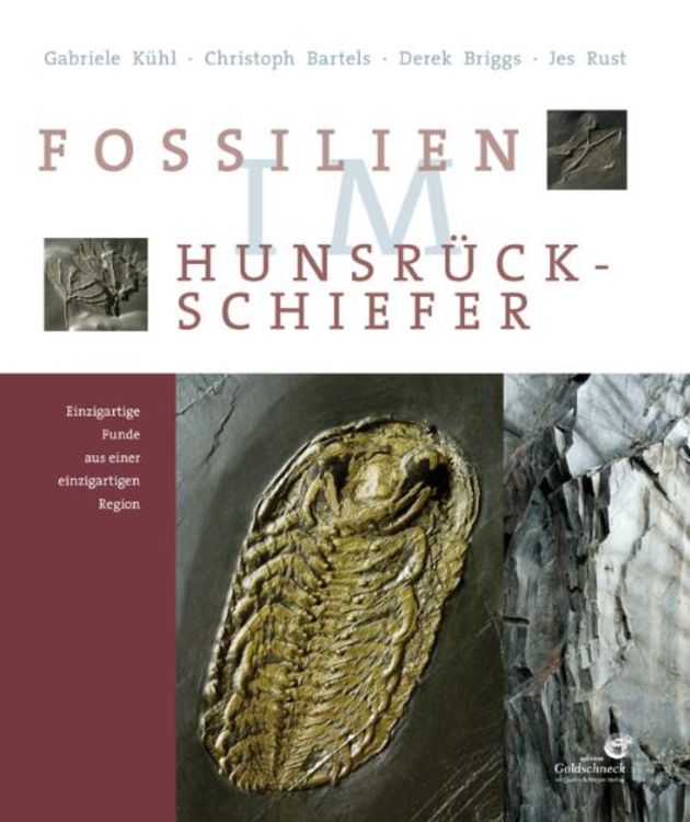 Produktbild: Fossilien im Hunsr&uuml;ck-Schiefer
