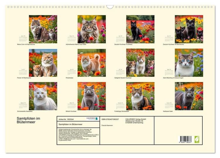 Produktbild: Samtpfoten im Bl&uuml;tenmeer (Wandkalender 2026 DIN A2 quer), CALVENDO Monatskalender
