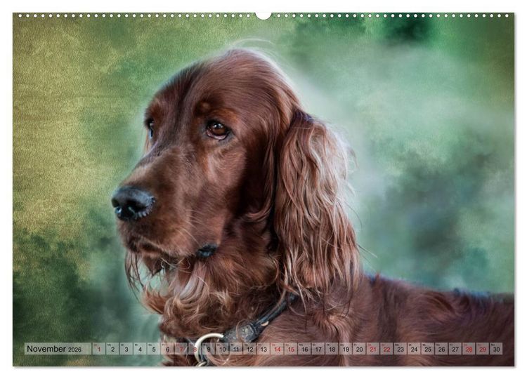 Produktbild: Jagdhunde im Portrait (hochwertiger Premium Wandkalender 2026 DIN A2 quer), Kunstdruck in Hochglanz