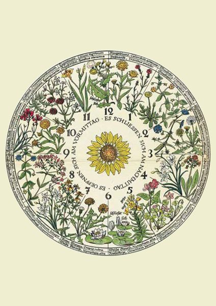 Produktbild: Kartenset Blumenuhr