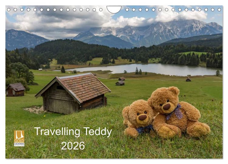 Produktbild: Travelling Teddy 2026 (Wandkalender 2026 DIN A4 quer), CALVENDO Monatskalender
