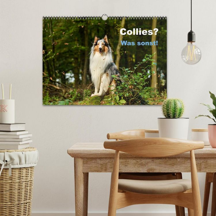 Produktbild: Collies? Was sonst! (Wandkalender 2026 DIN A3 quer), CALVENDO Monatskalender