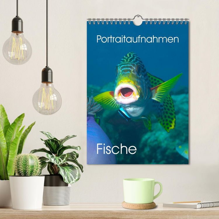 Produktbild: Portraitaufnahmen - Fische (Wandkalender 2026 DIN A4 hoch), CALVENDO Monatskalender