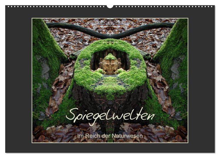 Produktbild: Spiegelwelten - Im Reich der Naturwesen (Wandkalender 2026 DIN A2 quer), CALVENDO Monatskalender