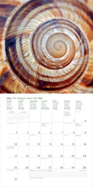 Produktbild: Wunderwerk Natur &ndash; Bizarre Strukturen - KUNTH Broschurkalender 2027