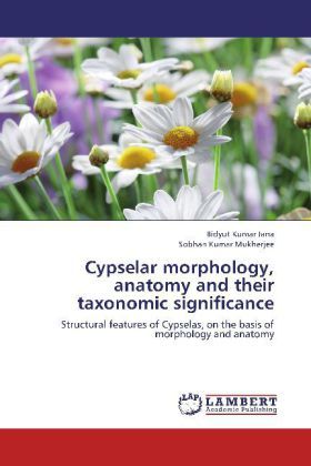 Produktbild: Jana, B: Cypselar morphology, anatomy and their taxonomic si
