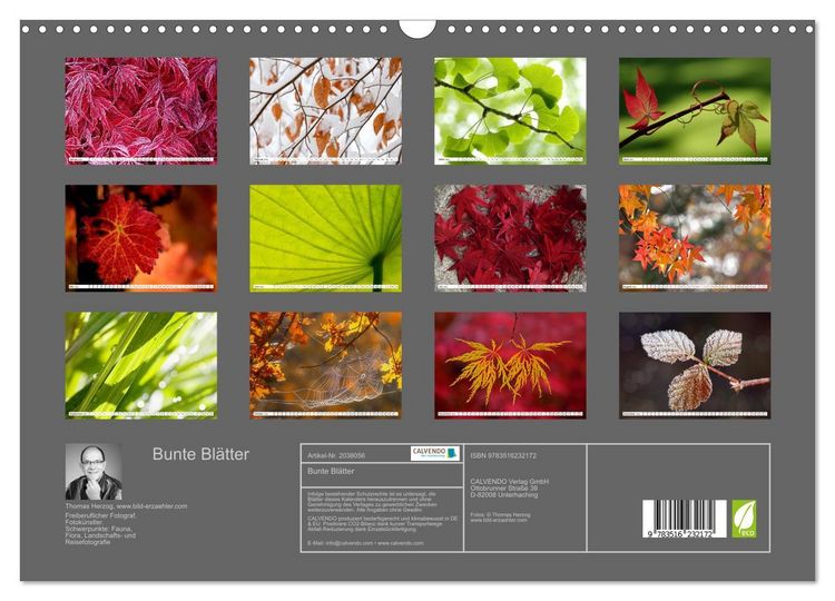 Produktbild: Bunte Bl&auml;tter (Wandkalender 2026 DIN A3 quer), CALVENDO Monatskalender