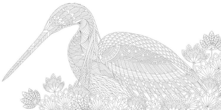 Produktbild: Millie Marotta's Beautiful Birds and Treetop Treasures: Mini Edition