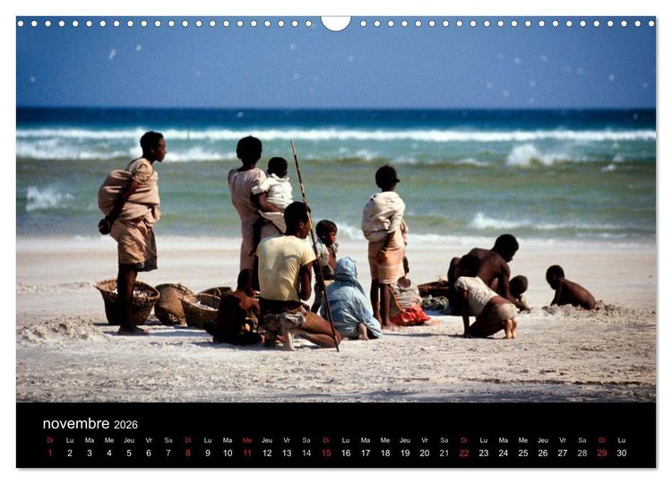 Produktbild: Madagascar L'&icirc;le aux merveilles (Calendrier mural 2026 DIN A3 vertical), CALVENDO calendrier mensuel