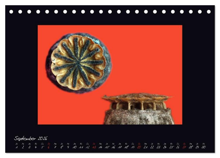 Produktbild: MOHNographie (Tischkalender 2026 DIN A5 quer), CALVENDO Monatskalender