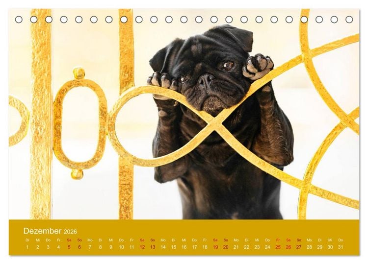 Produktbild: Diesel - ein mopsiges Leben (Tischkalender 2026 DIN A5 quer), CALVENDO Monatskalender