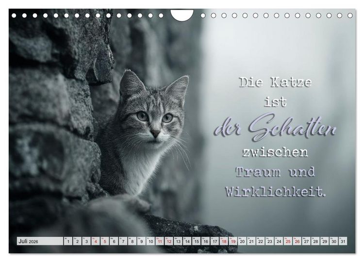 Produktbild: Katzenpoesie - Herzber&uuml;hrende Verse (Wandkalender 2026 DIN A4 quer), CALVENDO Monatskalender