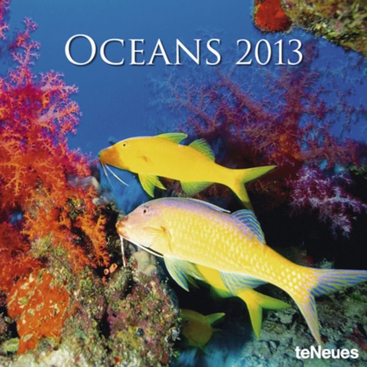 Produktbild: Oceans 2013