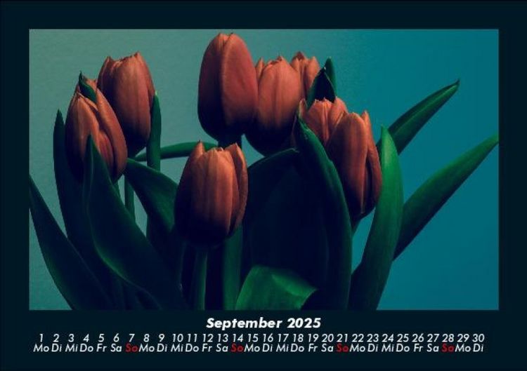 Produktbild: Blumenkalender 2025 Fotokalender DIN A5
