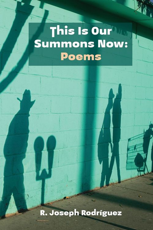 Produktbild: This Is Our Summons Now