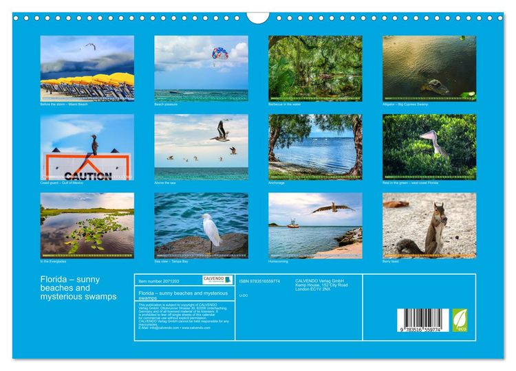 Produktbild: Florida &ndash; sunny beaches and mysterious swamps (Wall Calendar 2026 DIN A3 landscape), CALVENDO 12 Month Wall Calendar