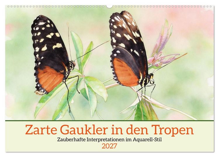 Produktbild: Zarte Gaukler in den Tropen (Wandkalender 2027 DIN A2 quer), CALVENDO Monatskalender