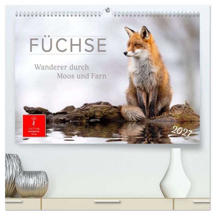 Produktbild: F&uuml;chse - Wanderer durch Moos und Farn (hochwertiger Premium Wandkalender 2027 DIN A2 quer), Kunstdruck in Hochglanz