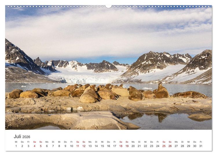 Produktbild: Naturparadies Svalbard (Wandkalender 2026 DIN A2 quer), CALVENDO Monatskalender