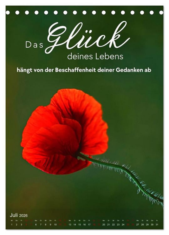Produktbild: ICH W&Uuml;NSCHE DIR GL&Uuml;CK - 12 Monate mit inspirierenden Gl&uuml;ckszitaten (Tischkalender 2026 DIN A5 hoch), CALVENDO Monatskalender