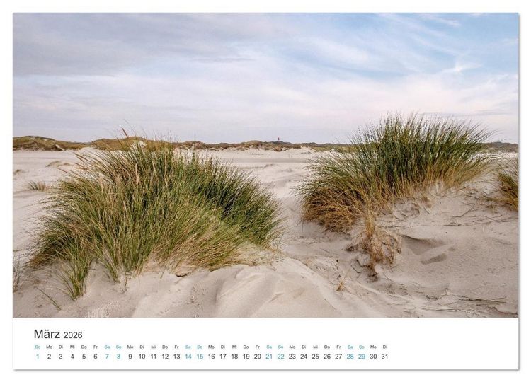 Produktbild: Amrum: Natur und Freiheit (Wandkalender 2026 DIN A2 quer), CALVENDO Monatskalender