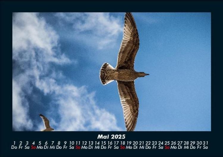 Produktbild: Welt der V&ouml;gel 2025 Fotokalender DIN A5