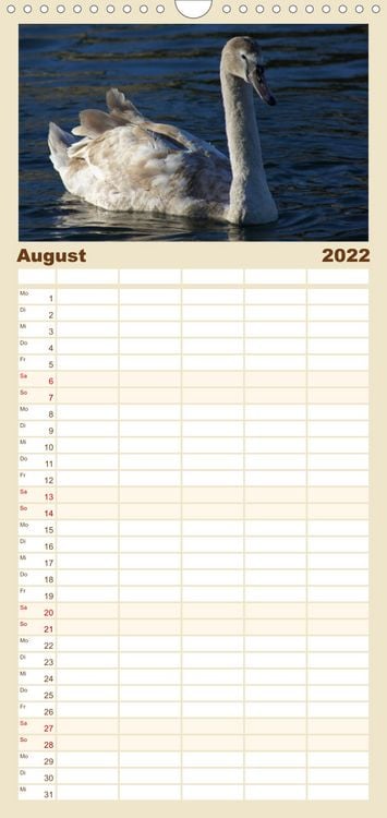 Produktbild: Das faszinierende Leben der Schw&auml;ne - Familienplaner hoch (Wandkalender 2022 , 21 cm x 45 cm, hoch)