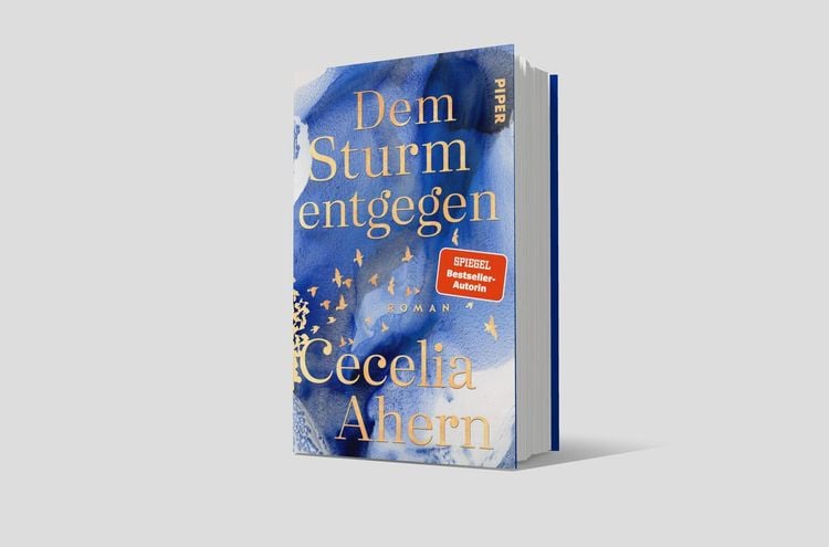 Produktbild: Dem Sturm entgegen