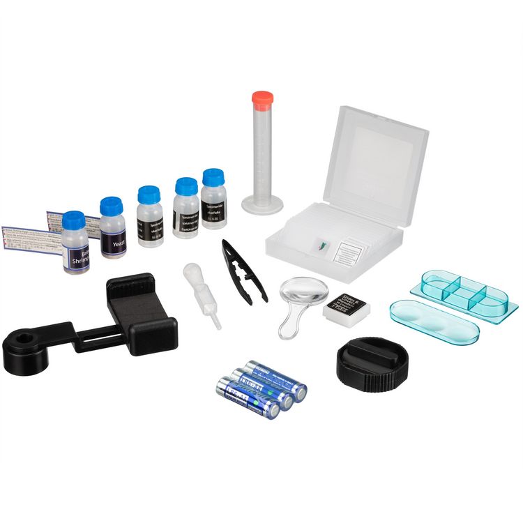 Produktbild: Bresser Junior 13122 - Kinder-Mikroskop (gr&uuml;n) mit 40-640x Vergr&ouml;&szlig;erung mit LED, Zoom-Okular, Smartphonehalter und Urzeitkrebse-Set