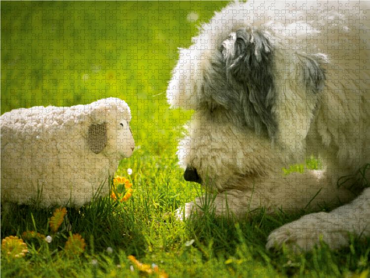Produktbild: CALVENDO Puzzle Schau mir in die Augen... 2000 Teile Puzzle quer | 2000 Teile Lege-Gr&ouml;&szlig;e 90 &times; 67 cm Foto-Puzzle f&uuml;r gl&uuml;ckliche Stunden
