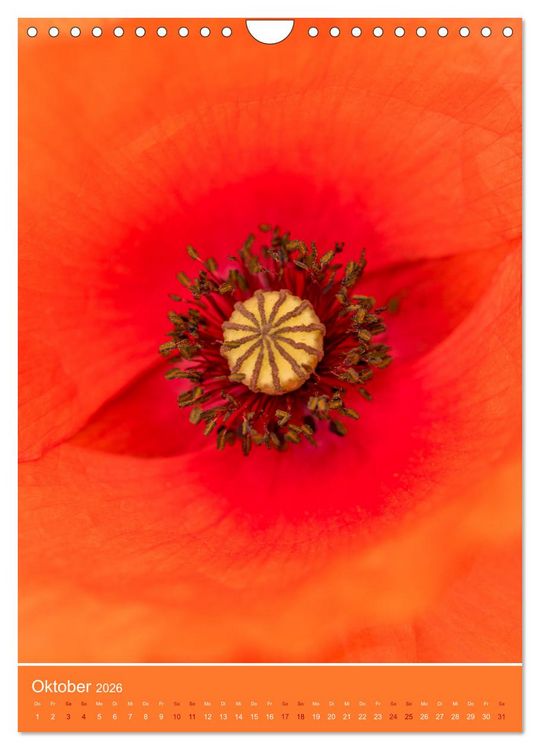 Produktbild: Mohnblumen - kraftvoll und zart (Wandkalender 2026 DIN A4 hoch), CALVENDO Monatskalender