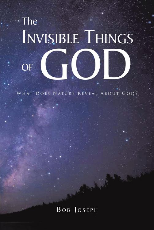 Produktbild: The Invisible Things of God