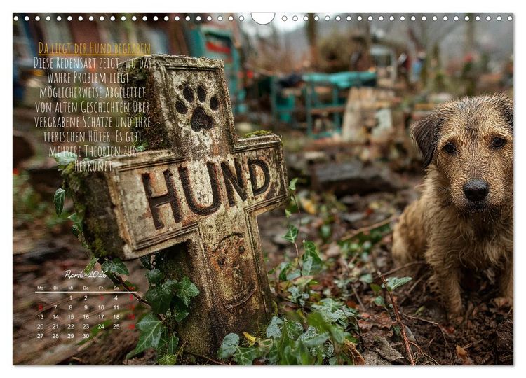 Produktbild: Nicht 08/15 - Deutsche Redewendungen und ihre Herkunft (Wandkalender 2026 DIN A3 quer), CALVENDO Monatskalender