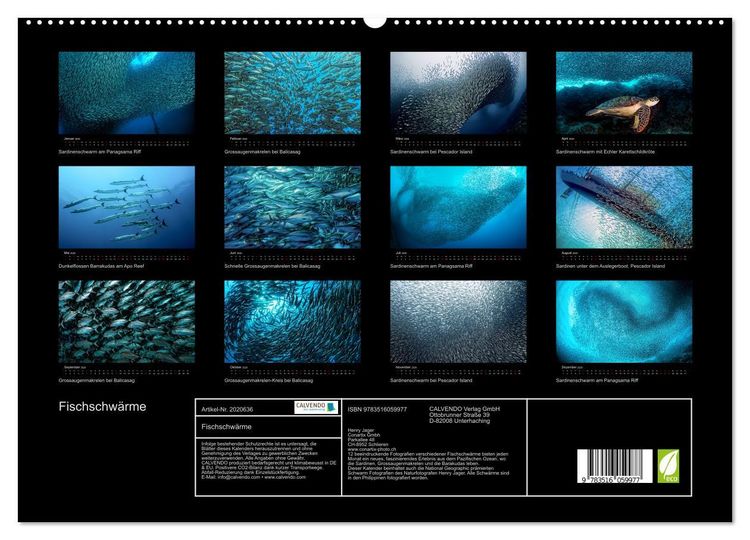 Produktbild: Fischschw&auml;rme (hochwertiger Premium Wandkalender 2026 DIN A2 quer), Kunstdruck in Hochglanz