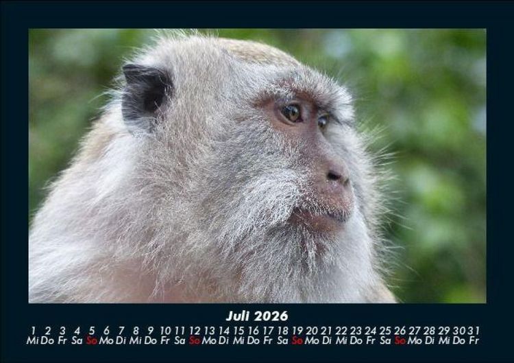 Produktbild: Bali 2026 Fotokalender DIN A5