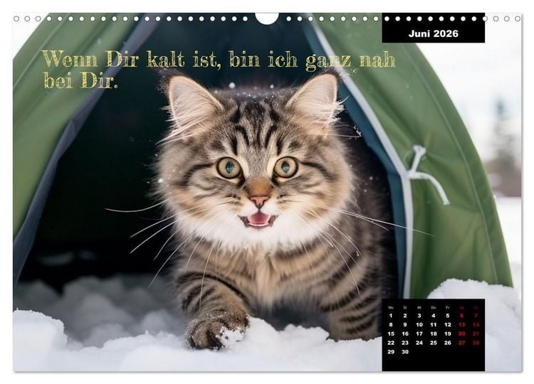 Produktbild: Katzen k&ouml;nnen alles, au&szlig;er traurig. (Wandkalender 2026 DIN A3 quer), CALVENDO Monatskalender