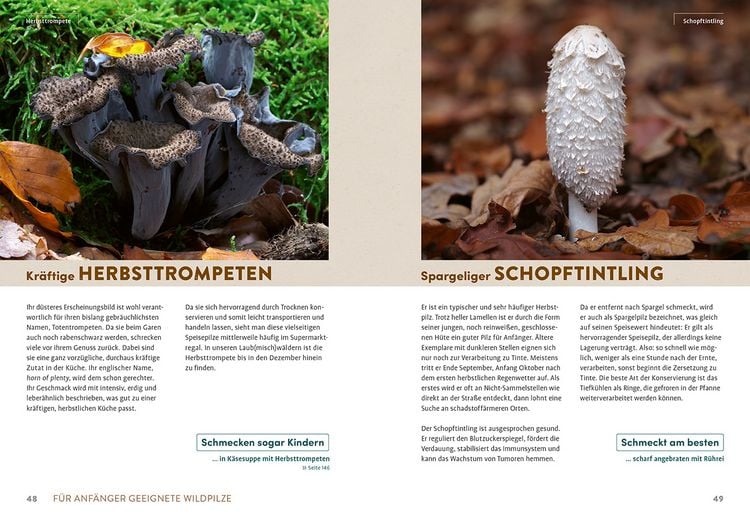 Produktbild: Pilzliebe