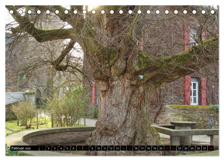 Produktbild: Dorflinden (Tischkalender 2026 DIN A5 quer), CALVENDO Monatskalender