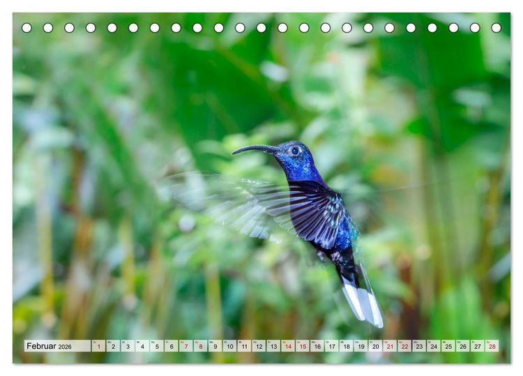 Produktbild: Costa Rica - Tierwelt und Landschaften (Tischkalender 2026 DIN A5 quer), CALVENDO Monatskalender
