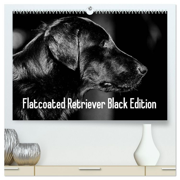 Produktbild: Flatcoated Retriever Black Edition (hochwertiger Premium Wandkalender 2026 DIN A2 quer), Kunstdruck in Hochglanz