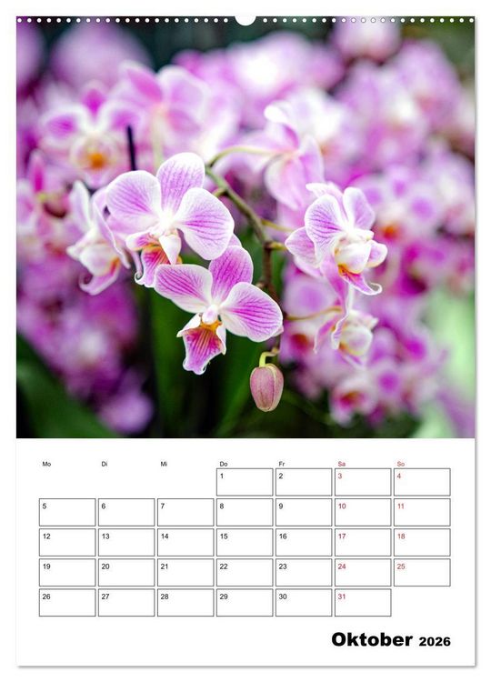 Produktbild: Orchideen - Tropische Sch&ouml;nheiten (hochwertiger Premium Wandkalender 2026 DIN A2 hoch), Kunstdruck in Hochglanz