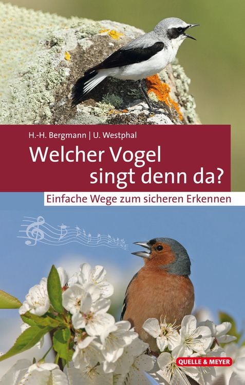 Produktbild: Welcher Vogel singt denn da?