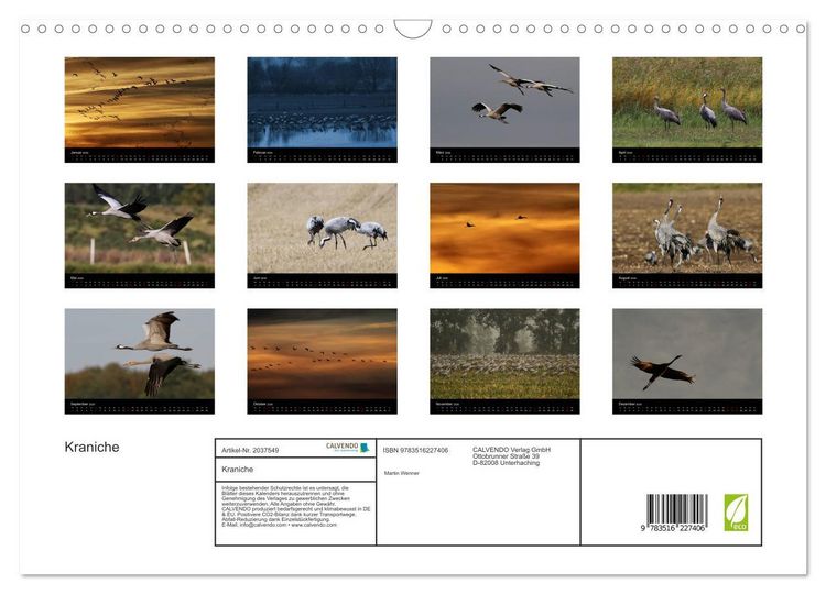 Produktbild: Kraniche (Wandkalender 2026 DIN A3 quer), CALVENDO Monatskalender
